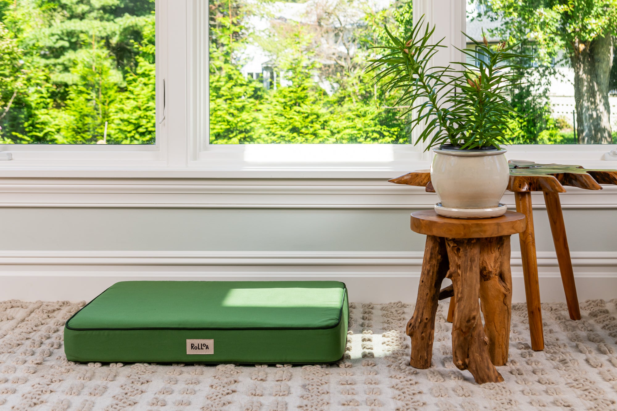 Rolloa Rollo Bed – Rolloa Pets