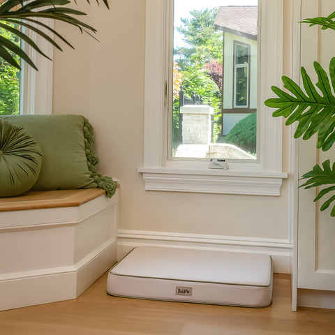 A rolloa small beige and biscuit pet bed sitting in corner of the room