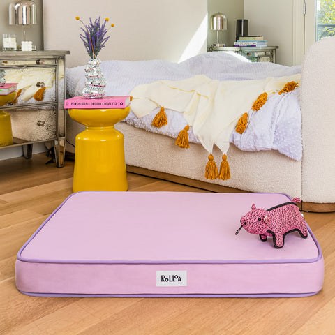 A lilac pet bed placed in the middle of the bedroom with matching pink and yellow decor