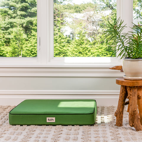 A pickle green dog bed palced in a sunroom